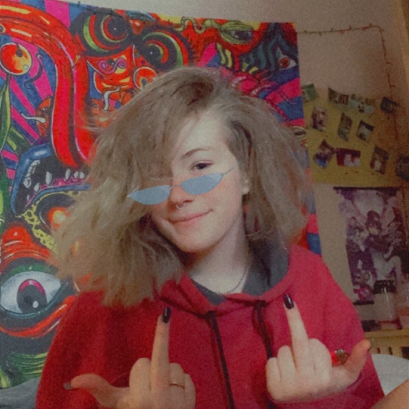 Meet your Posher, Reece - Picture 1 of 1